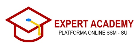expertacademy.ro