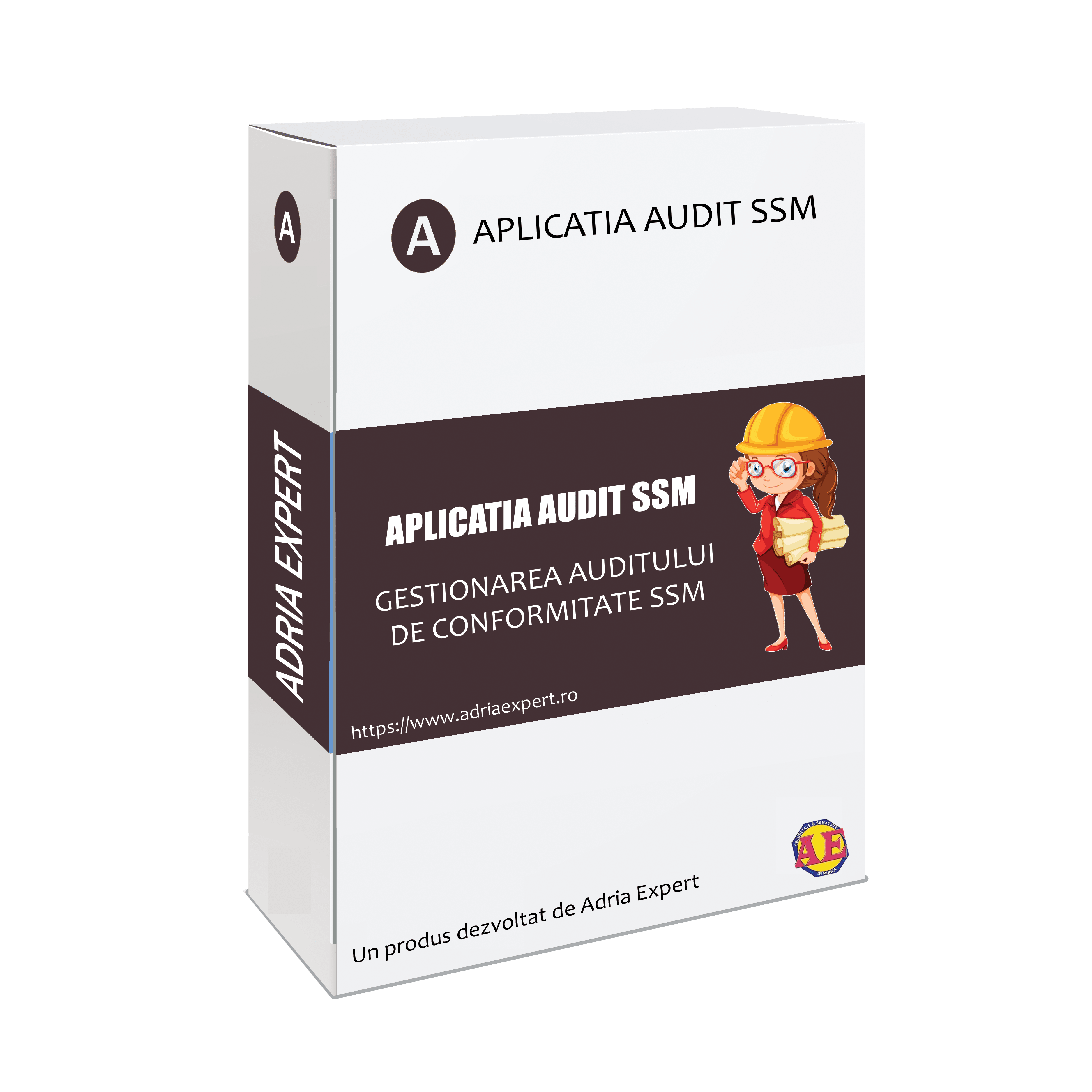 aplicatia ssm audit ssm